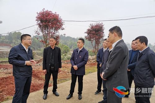 胡卫兵来湘乡督查调研河长制和移民工作落实情况