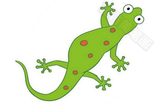 蜥蜴简笔画图片大全,画法