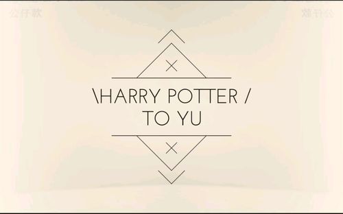 happybirthdaytoyouharrypottertoyu