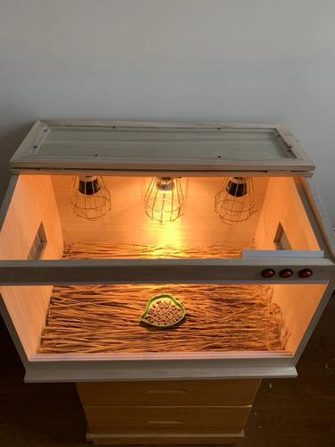 鸡苗鹌鹑鹦鹉育雏保温箱子雏鸟鸭苗出壳箱鸽子保温箱孵化保暖设备