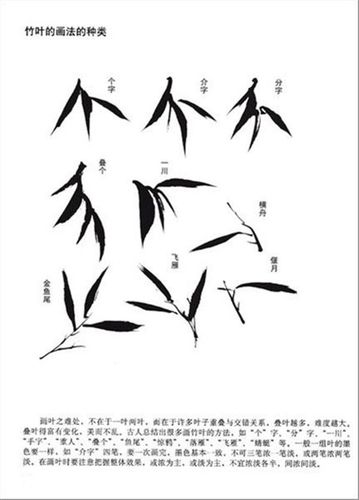 首先学习国画竹叶的画法种类,有个字,介字,分字,叠