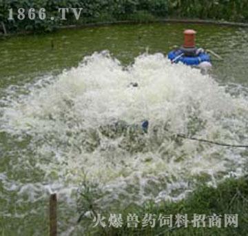 正圆新一代水轮式增氧机产品图片