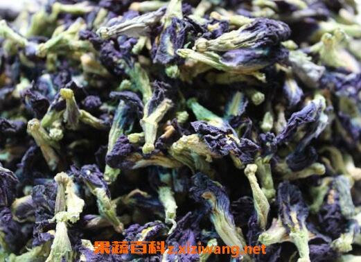 蓝蝴蝶花茶的功效与作用