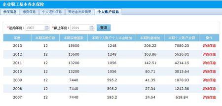 社保个人账户缴费信息看不懂
