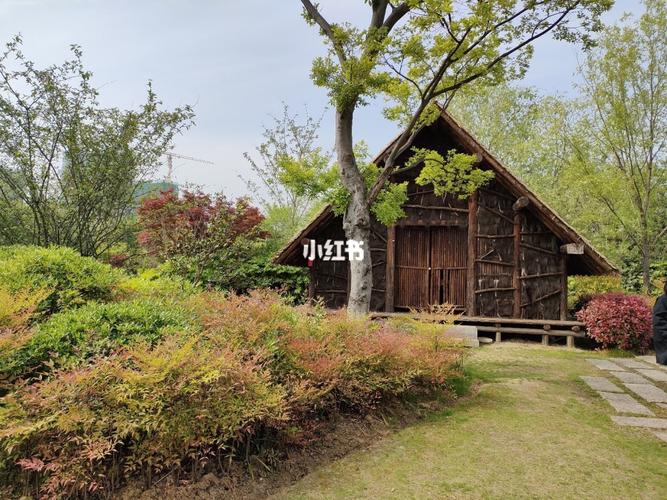 常州丁塘河湿地公园_湿地公园_逛公园_出行_人文风光