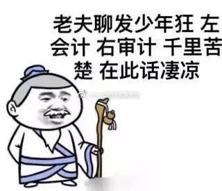 感受一下会计狗的日常