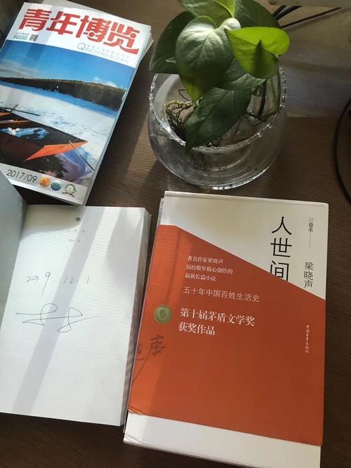看人世间