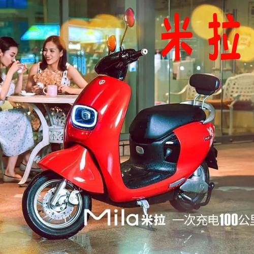 适用台铃电动车脚垫米拉臻远tl600dqt12踏板踩皮防水电动车脚垫