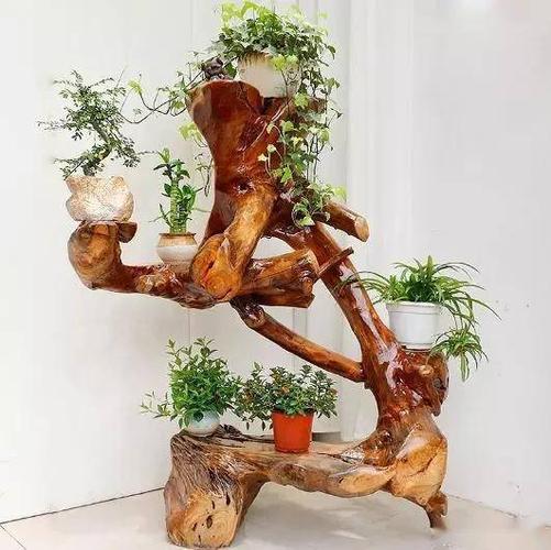 小伙用树根改造成花架,兼具美感,时尚,艺术感,你要的全都有