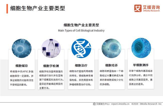 艾媒咨询|2020年中国细胞生物产业和商业应用分析报告