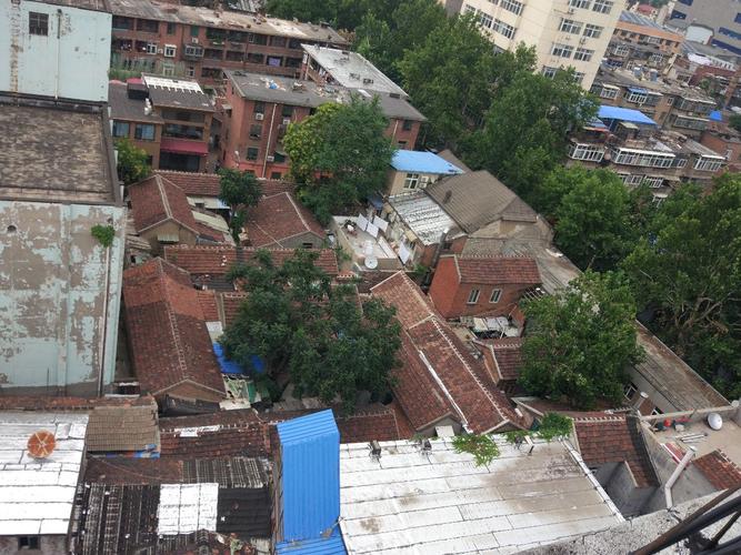 大观园街道万紫巷社区:给树木建档,护风雨平安