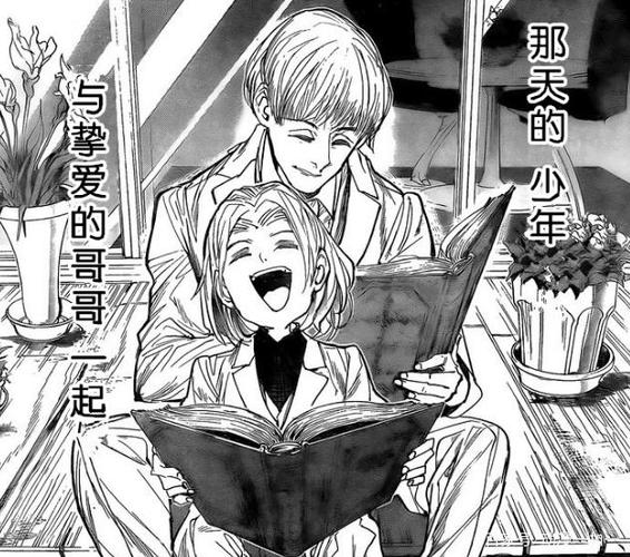 约定的梦幻岛:同根不同命,拉托里兄弟——被命运操纵