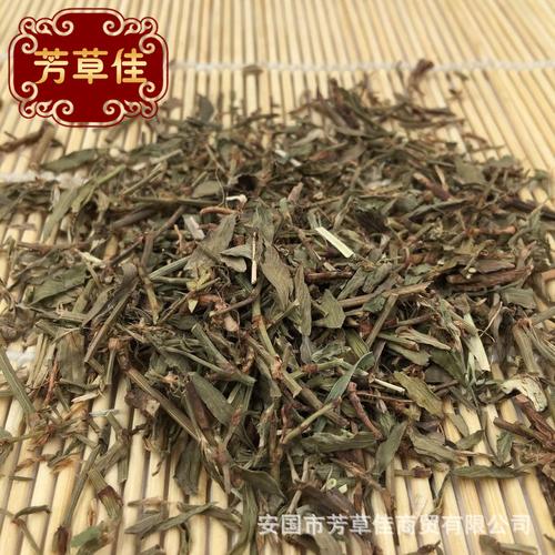 供应中药材扁蓄 猪牙草 扁蓄