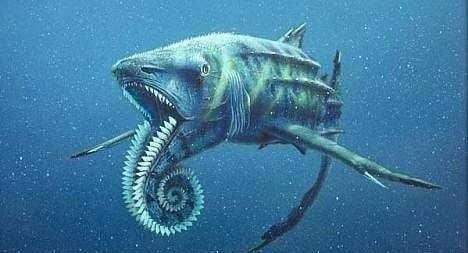 一口将鲨鱼咬成两半 据推测最大的体型为17米长, 可以