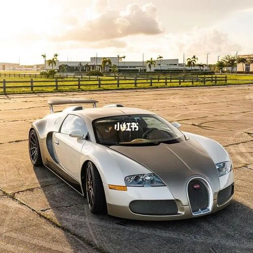 布加迪 威龙_布加迪怎么样_汽车_汽车介绍