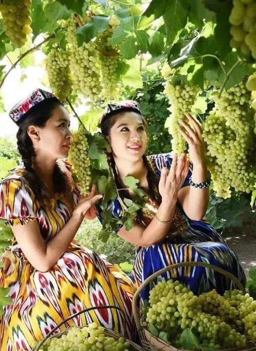 中国葡萄的世界61话说吐鲁番葡萄沟