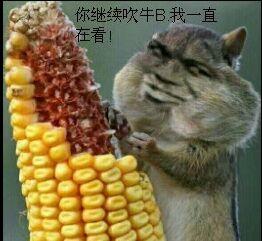 松鼠吃玉米:你继续吹牛b,我一直在看_吹牛_松鼠_玉米表情