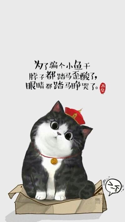 吾皇猫