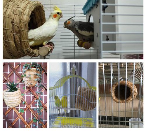 草编鸟窝鹦鹉窝保暖椰子壳窝鸟巢虎皮牡丹玄凤繁殖箱挂窝鸟具用品