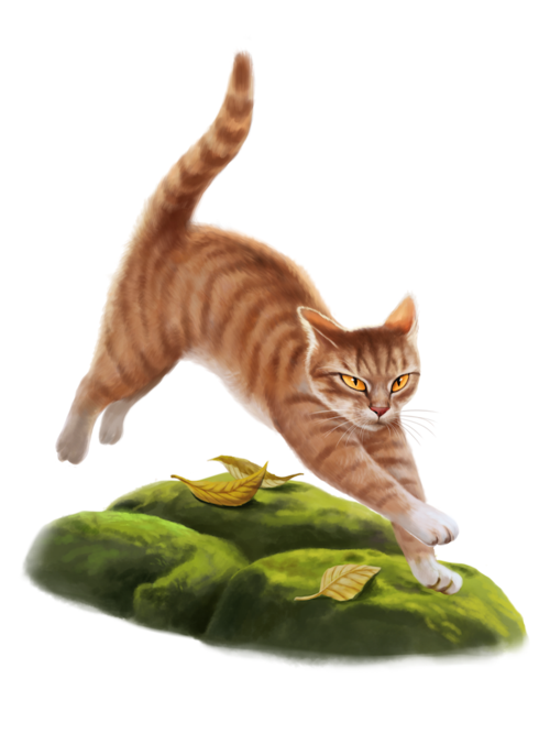 《猫武士》中的人物.