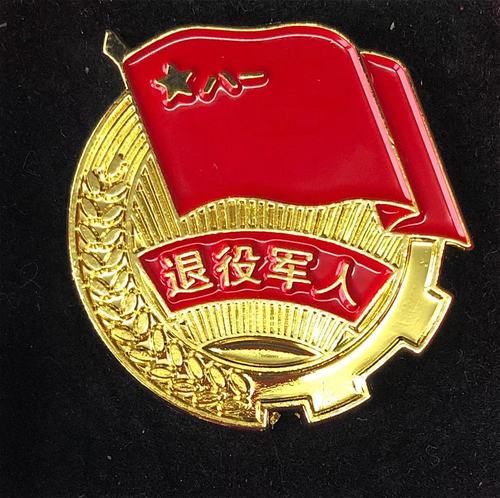 纪念章退役军人退伍标志徽章聚会战友礼品胸针胸针