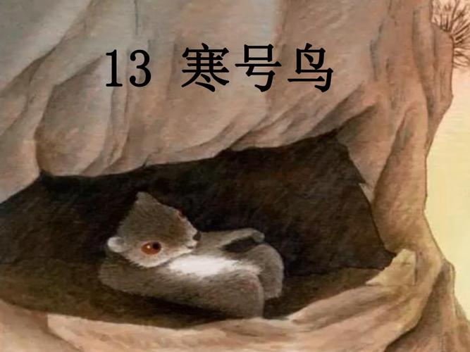 寒号鸟 我读我思考 寒冬腊月,为什么喜鹊住在温暖的窝里,寒号鸟却冻死