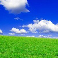 好看微信头像小清新自然【点击鼠标右键下载】