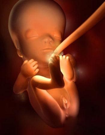 怀孕4个月能看清楚男女吗胸部变化大吗怀男孩和怀女孩是不是胸部变化