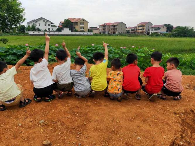 难忘的幼儿园生活