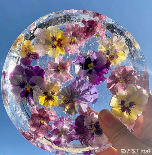"以万物为师,以自然为友"—亲子冰花制作