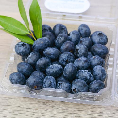 【空运包邮】云南蓝莓鲜果12盒当季整箱新鲜蓝莓水果护眼非怡颗莓