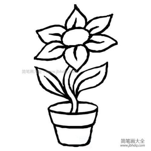 儿童花盆简笔画