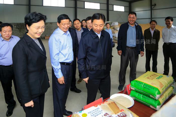 市,区领导李雪峰,胡宗元,陈琳,朱彤等参加活动