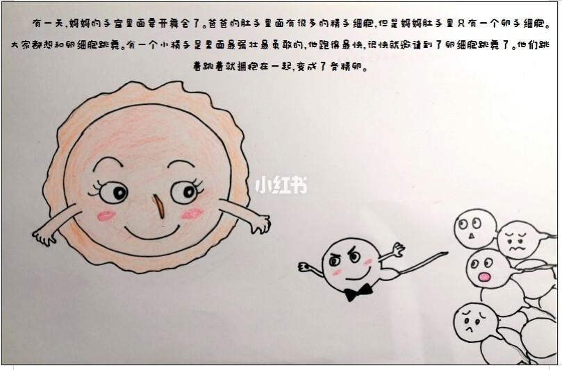 幼儿园作业自制绘本之我从哪里来_幼儿园_绘本_教育