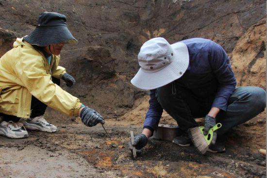 资料图:探访山东菏泽汉墓群,考古人员正在现场用手铲,刷子发掘清理人