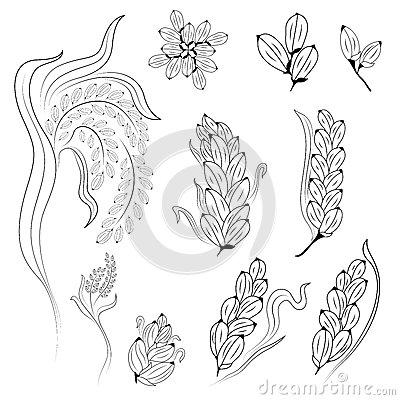 简笔画五谷作物