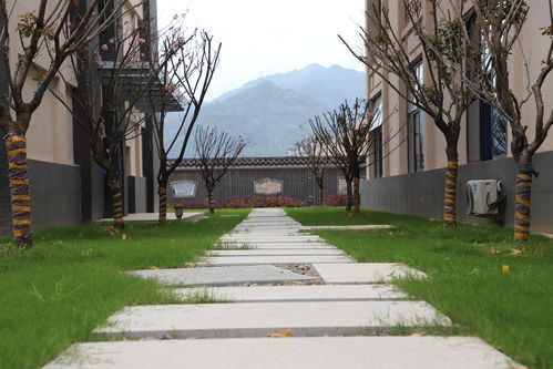启文中学校园风景文案征集