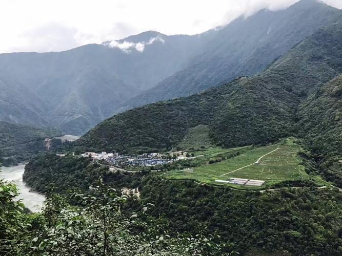 德兴村