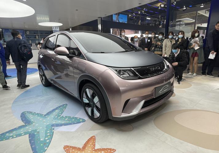 比亚迪"海豚"来了,搭载刀片电池,轴距高达2.7米,外观很精致