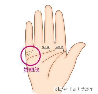 婚姻线有两条分叉_婚姻线分叉_命运线事业线分叉图解