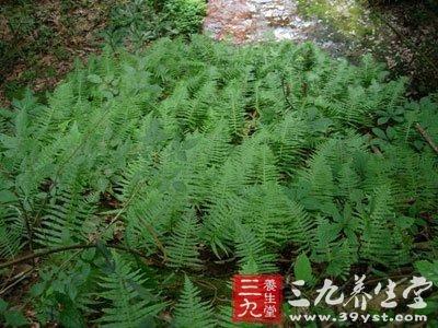 假友水龙骨