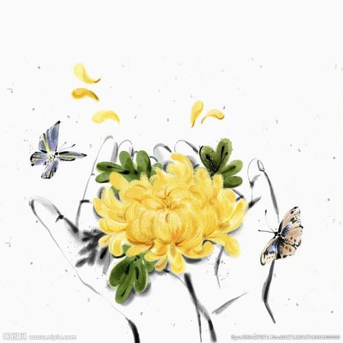 国画菊花