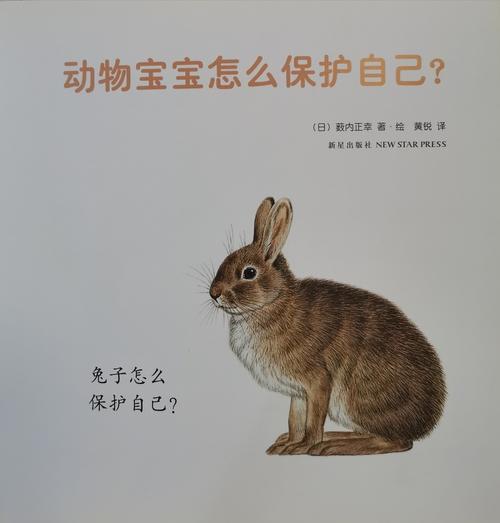 马幼快乐宝贝故事盒—动物宝宝如何保护自己