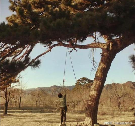 村里的歪脖子树