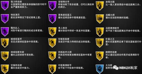 12 5的徽章组成,可补徽章方面持球防守,十美分,远距离,挡拆躲闪者和