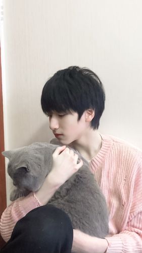 拐走严浩翔小朋友只需要一只小猫咪