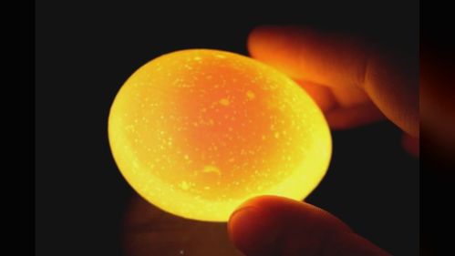 如何挑选新鲜鸡蛋?教你一招,手机照一照,一眼见效果