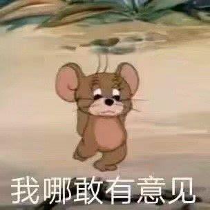 斗图表情包,让人开怀大笑!