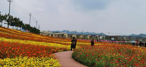 梅渚花海