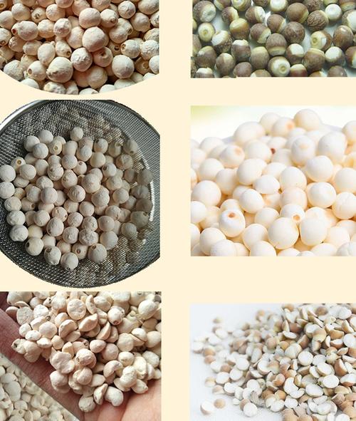 热卖芡实包邮 正宗苏南白芡实500g 鸡头米 苏芡芡宝茨实 苏州特产干货
